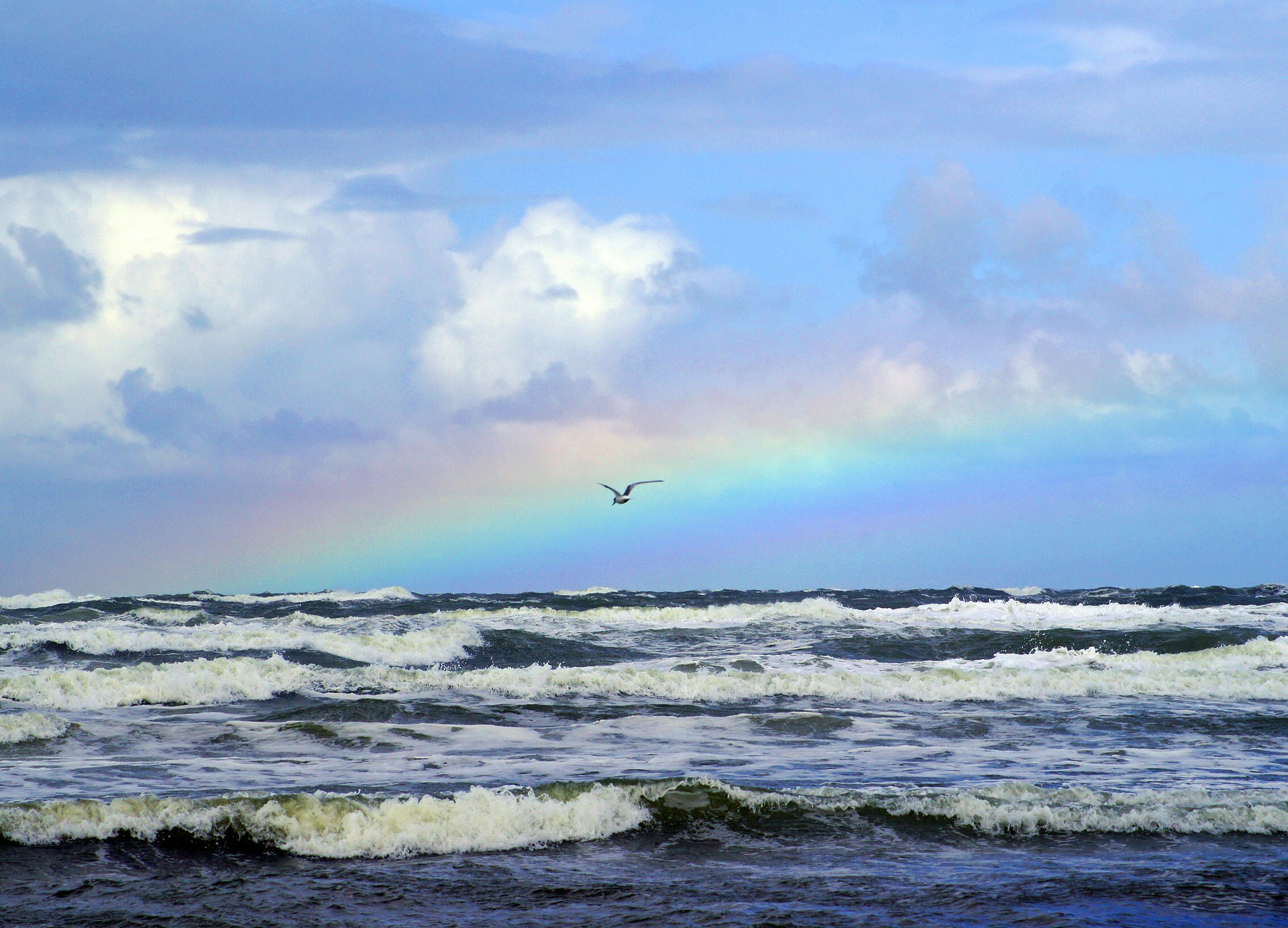 Ocean & Rainbow