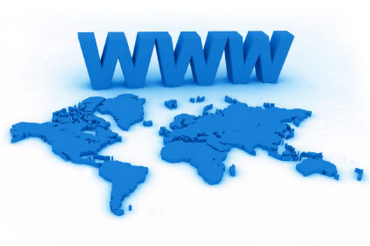 World Wide Web Users